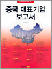 중국 대표기업 보고서