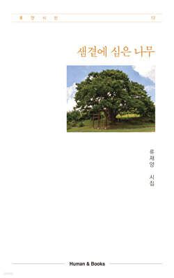 샘곁에 심은 나무