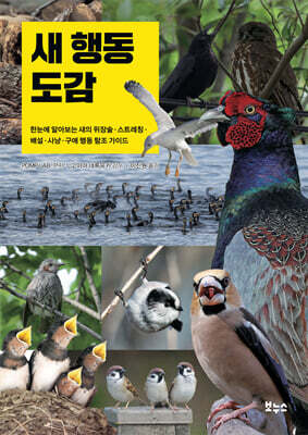 새 행동 도감