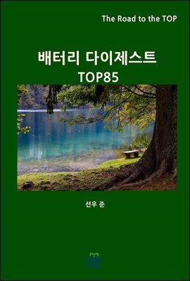 배터리 다이제스트 TOP85