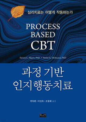 과정 기반 인지행동치료
