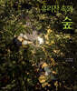 유리잔 속의 숲