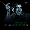 번스타인 사운드 (The Sound of Bernstein) - 여러 아티스트
