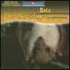 Bats Are Night Animals / Los Murciélagos Son Animales Nocturnos