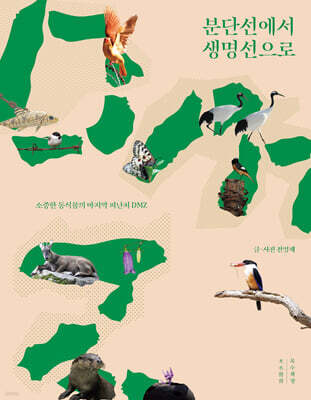 분단선에서 생명선으로