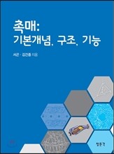 촉매