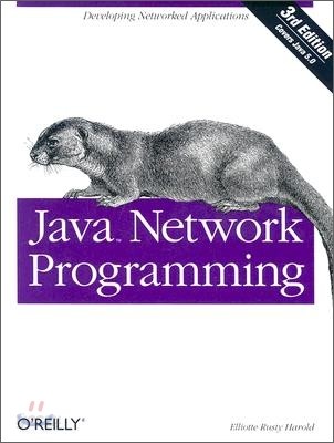 Java Network Programming