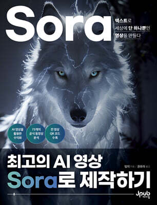 최고의 AI 영상 Sora로 제작하기
