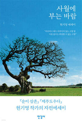 사월에 부는 바람