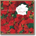 Romantic 4 (로맨틱 4) : Christmas In Jazz
