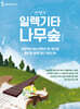 안쌤의 일렉기타 나무숲