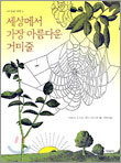 세상에서 가장 아름다운 거미줄