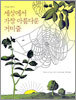 세상에서 가장 아름다운 거미줄