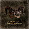 Jethro Tull (제스로 툴) - Curious Ruminant