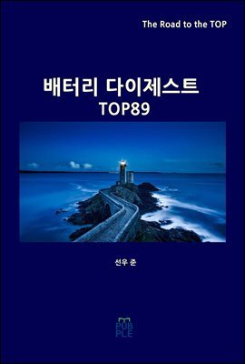 배터리 다이제스트 TOP89