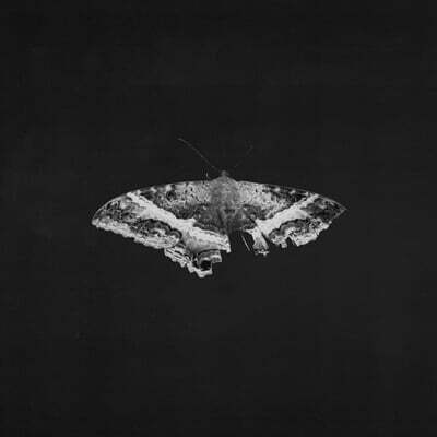 Kendrick Lamar (켄드릭 라마) - 3집 To Pimp A Butterfly [2LP]