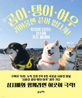곰이 탱이 여우 귀여움엔 끝이 없다개!