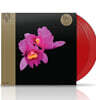 Opeth (오페스) - 1집 Orchid [레드 컬러 2LP]