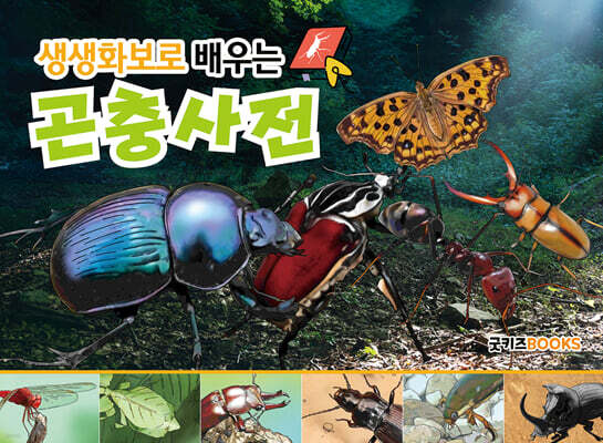 생생화보로 배우는 곤충사전