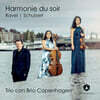 Trio con Brio Copenhagen 라벨 / 슈베르트: 피아노 삼중주 (Ravel / Schubert: Piano Trios - Harmonie du soir)