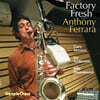 Anthony Ferrara (앤소니 페레라) - Factory Fresh