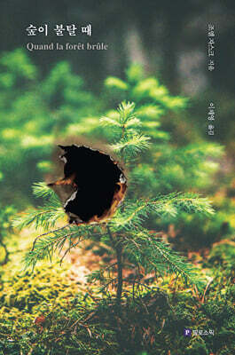숲이 불탈 때
