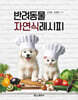 반려동물 자연식레시피