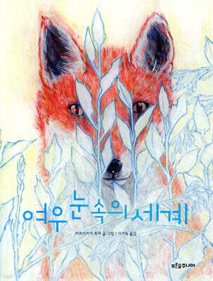여우 눈 속의 세계