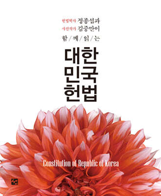대한민국 헌법 작품집