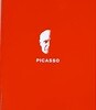 PICASSO(피카소)