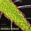 눈에 보이지 않는 세계 Vol.1 (Invisible Worlds)