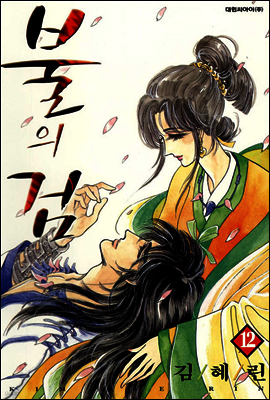 불의 검 12
