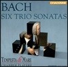 Tempesta di Mare Chamber Players 바흐: 6개의 트리오 소나타 (Bach: Six Trio Sonatas BWV525 ~ BWV530)