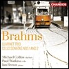 Paul Watkins 브람스: 첼로 소나타, 클리리넷 트리오 - 폴 왓킨스 (Brahms: Cello Sonatas & Clarinet Trio)