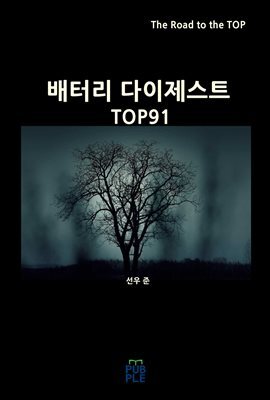 배터리 다이제스트 TOP91