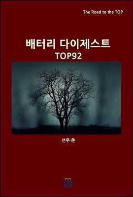 배터리 다이제스트 TOP92