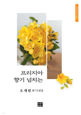 프리지아 향기 넘치는