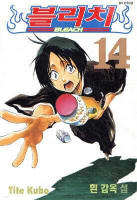 블리치 BLEACH 14