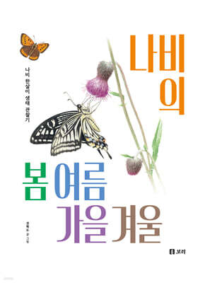 나비의 봄 여름 가을 겨울