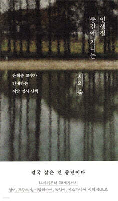 인생길 중간에 거니는 시의 숲