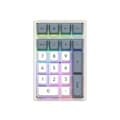 COX CKP01 기계식