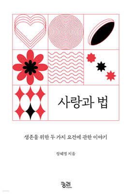 사랑과 법 (큰글자도서)