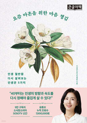 요즘 마흔을 위한 마음 챙김 (큰글자책)