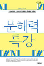 문해력 특강 (큰글자도서)