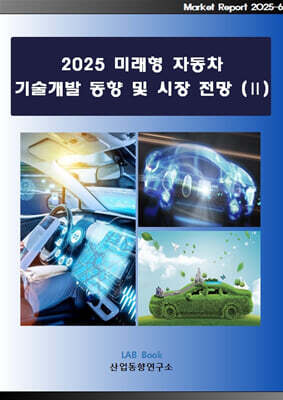 2025 미래형 자동차 기술개발 동향 및 시장 전망 (2)