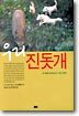 우리 진돗개