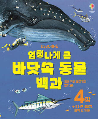 엄청나게 큰 바닷속 동물 백과