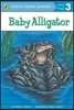 Baby Alligator