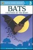 Bats