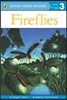 Fireflies